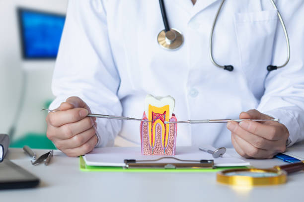 Best Tooth Infection Emergency Dentist  in Colonial Pine Hills, SD